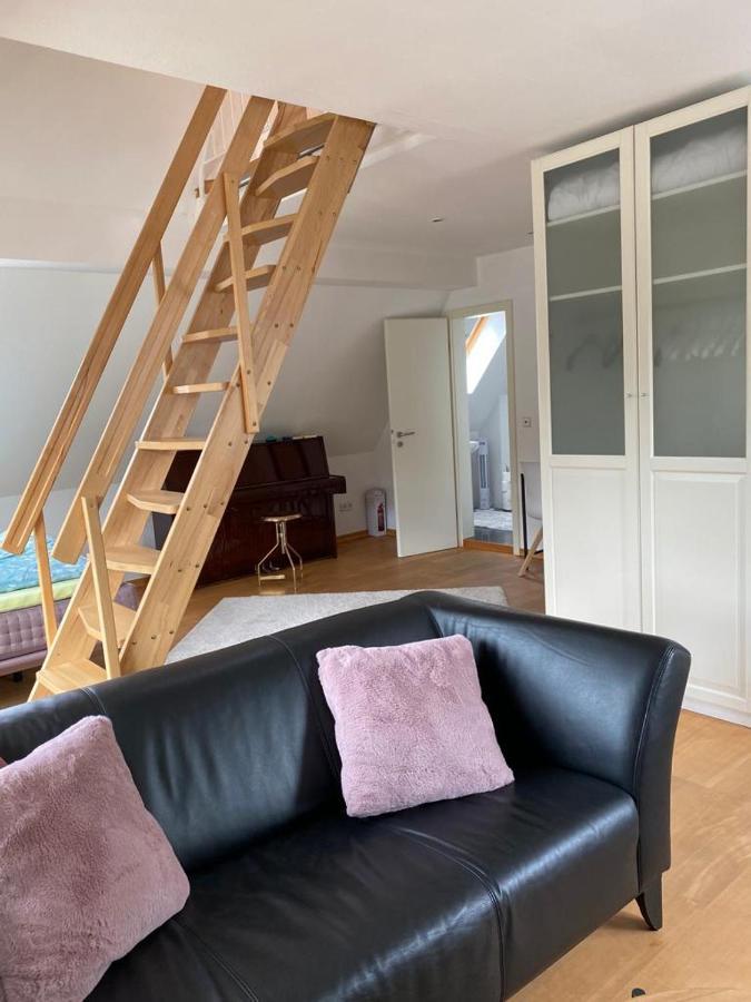 Ferienwohnung Moseltraum コッヘム エクステリア 写真